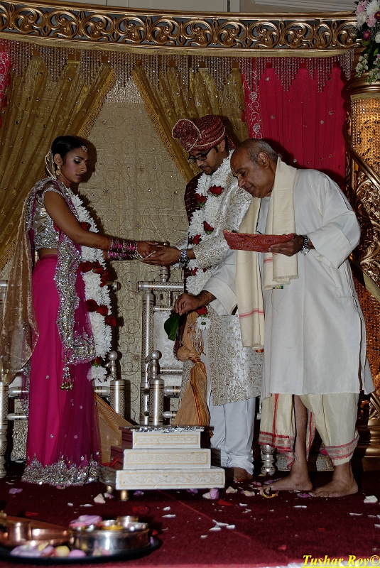 PAYAL_WEDDING-tr Image_1137.jpg